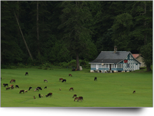 Dalhousie Dalhousie