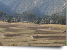 Rampur Rampur